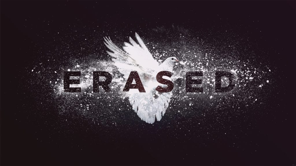 Erased Series Art